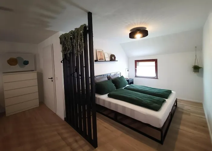 公寓 Fuchsbau 施莱登